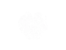 Creation and maintenance of government websites