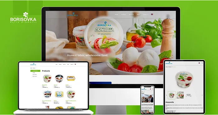 Product catalog website development