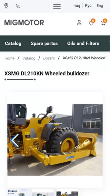 Adaptation of an online store