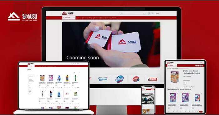 E-commerce website development for a retail chain