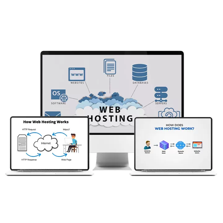 Предоставление хостинга и домена