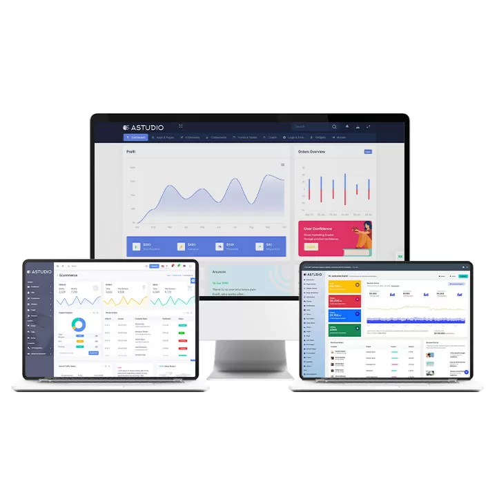 Web application development